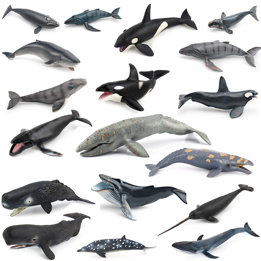 Kids Toys Under 100 - Model Hewan Laut Realistis: Paus Humpback,