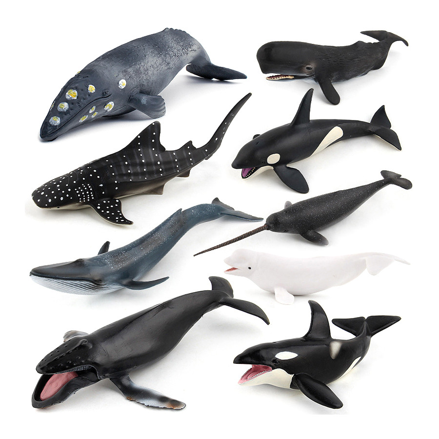Model Hewan Laut Realistis: Pa - Kids Toys Under 100 ulasan dan harga