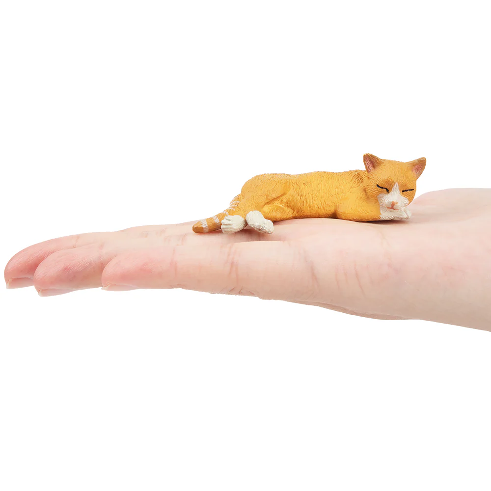 Toymany Mainan Model Hewan Pel - Kids Toys Under $5 ulasan dan harga