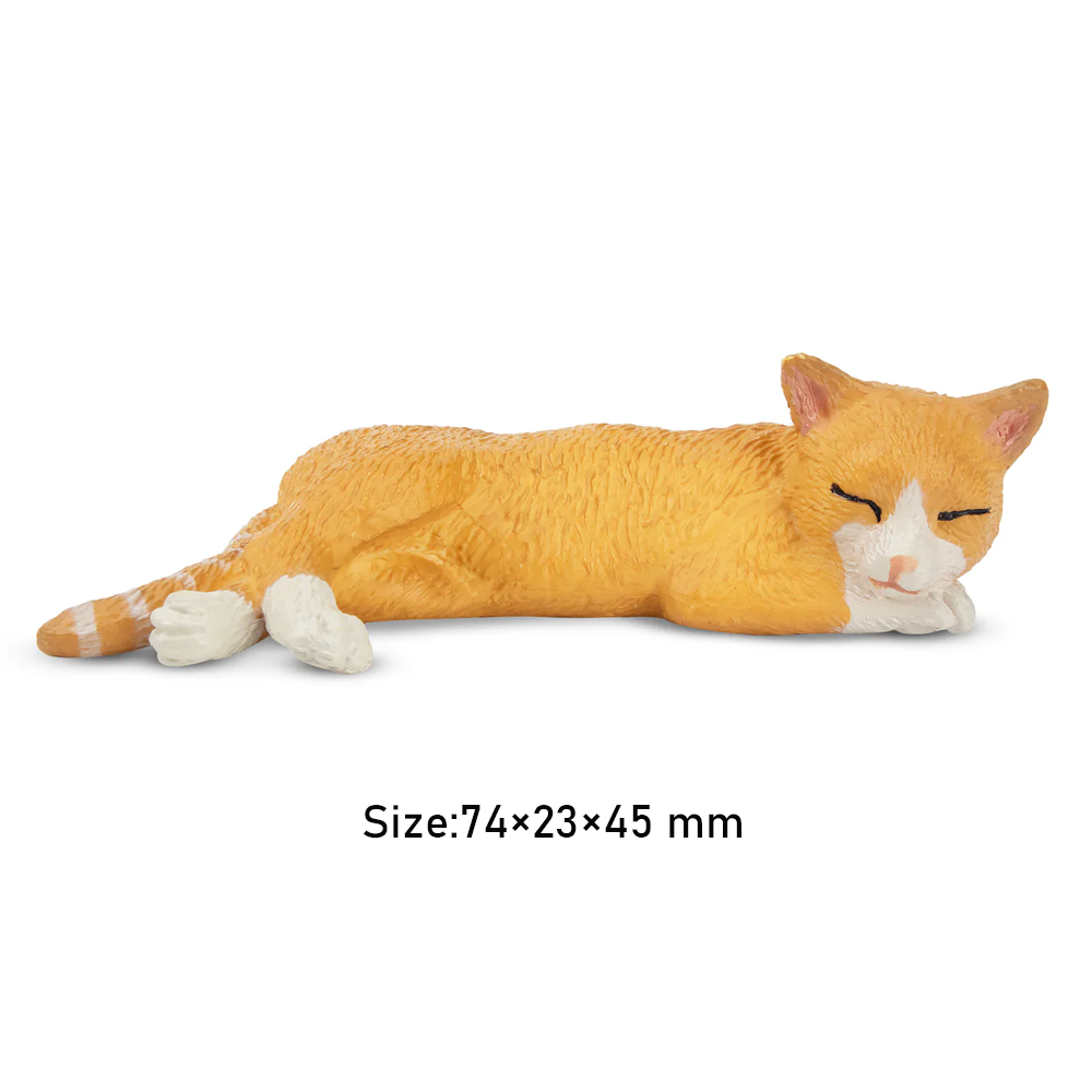 Toymany Mainan Model Hewan Pel - Kids Toys Under $5 ulasan dan harga
